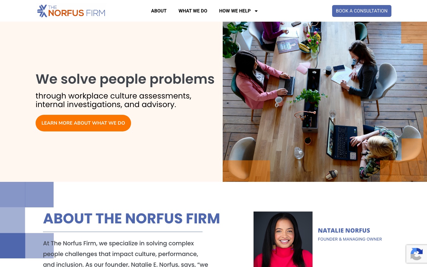 The Norfus Firm preview
